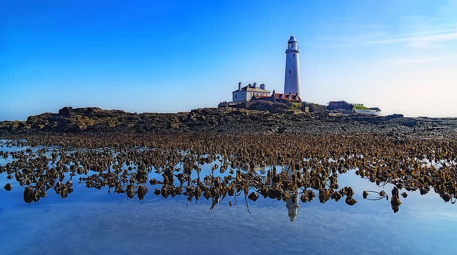 Lighthouse, architecture, beach, clouds, coast, daylight, horizon HD wallpaper