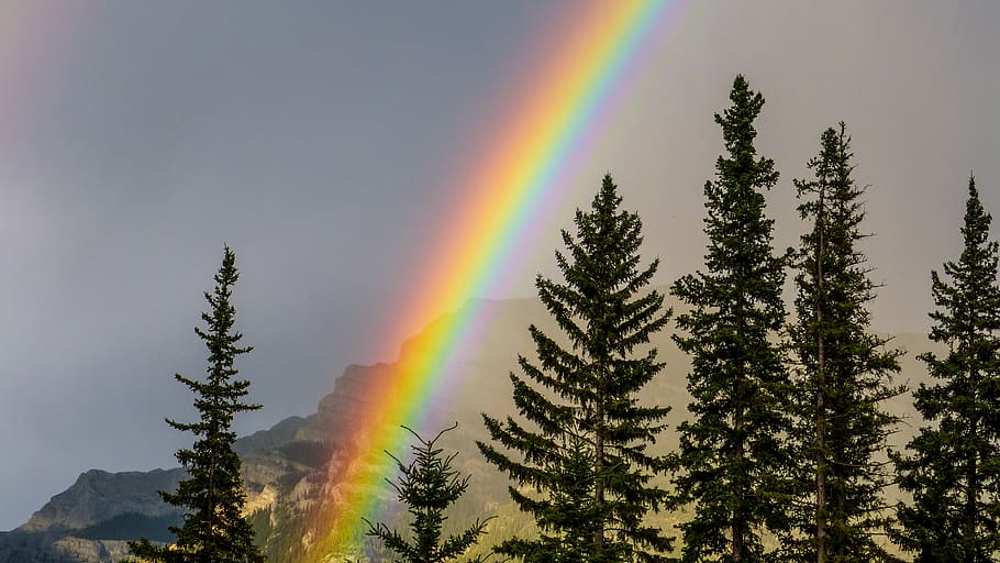 canada, canmore, green, clouds, rain, trees, forest, mountain HD wallpaper