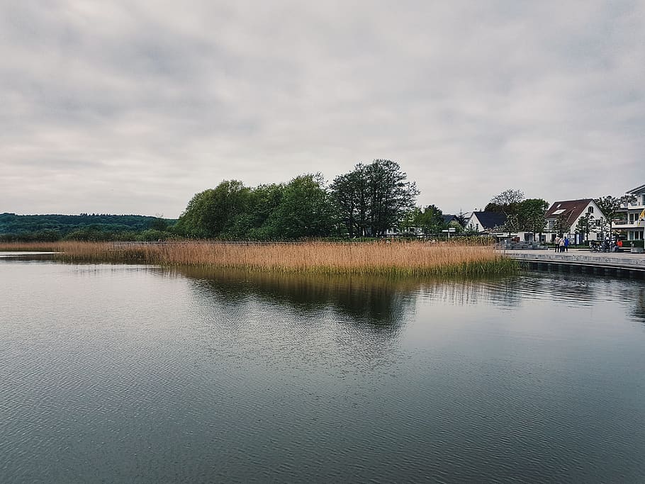 germany, binz, sky, water, lake, holiday, trees, nature, cloud - sky HD wallpaper