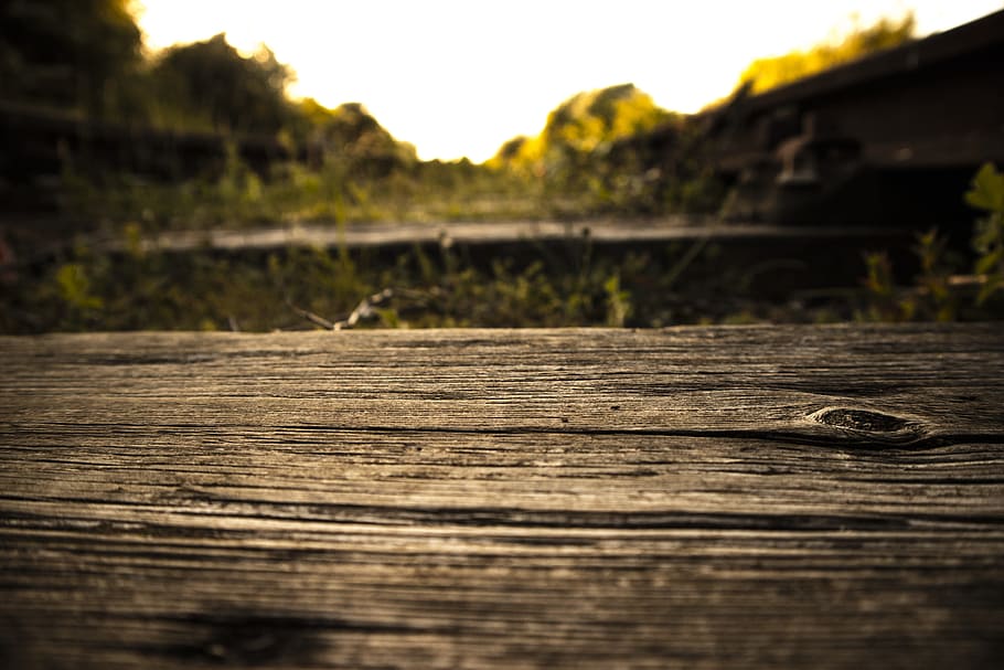 Shallow Focus Photography of Wooden Plank, beach, board, bush HD wallpaper