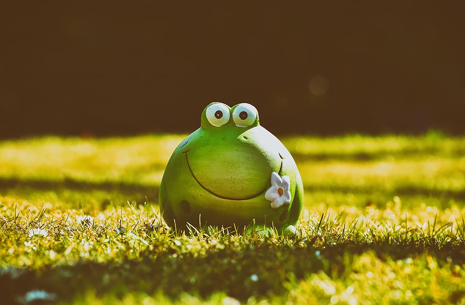 frog, figure, meadow, funny, ceramic, animal, green, cute, grass, HD wallpaper