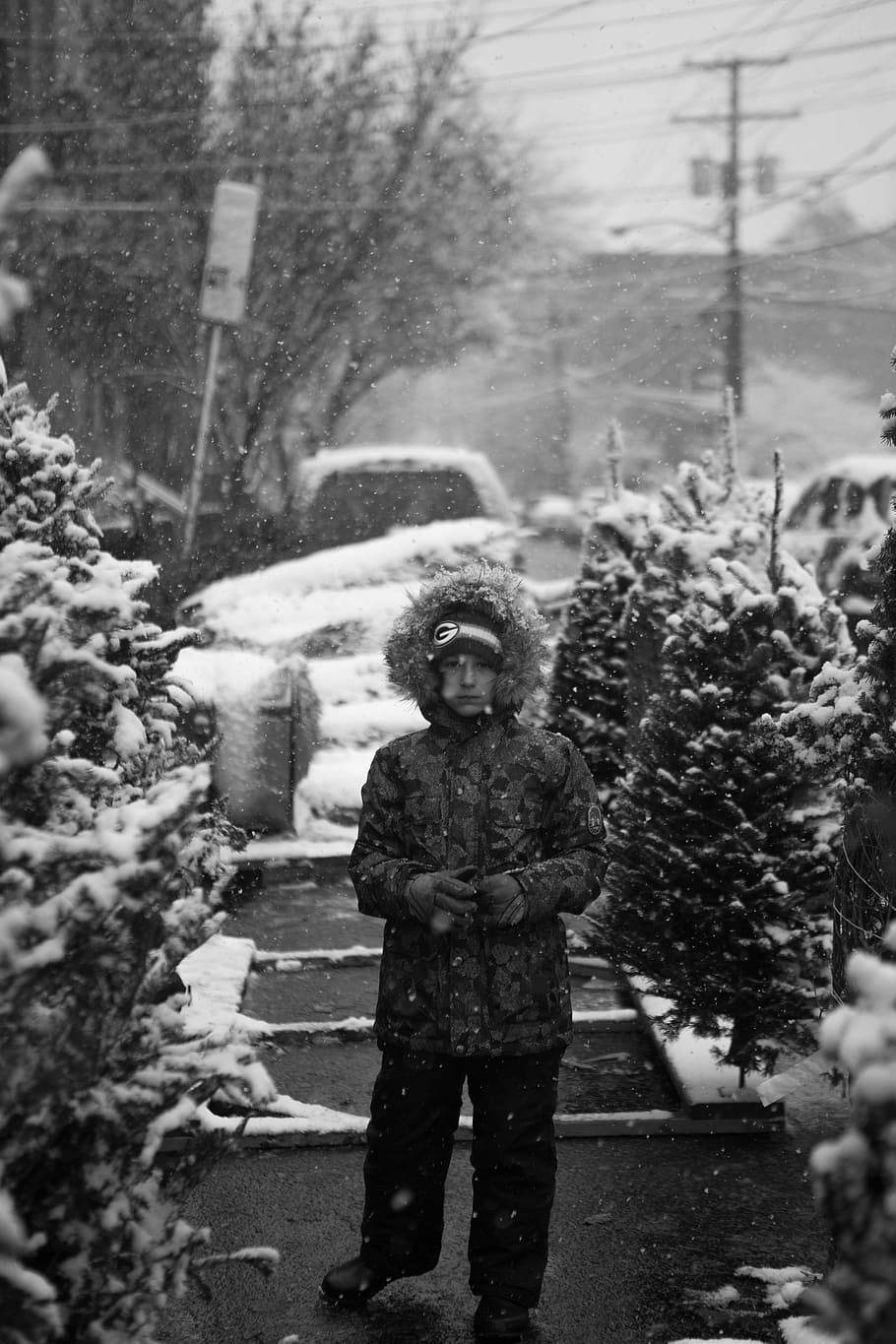 snow, boy, snowing, winter, cold temperature, plant, one person HD wallpaper