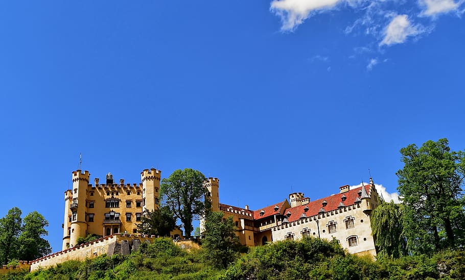 germany, füssen, castle, tree, sky, building exterior, built structure HD wallpaper
