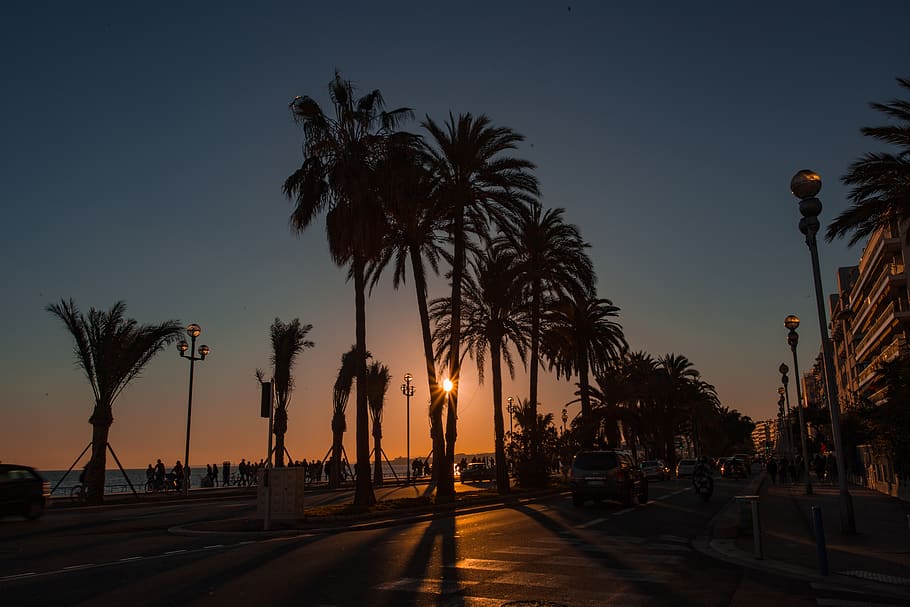 sun, south, see, beach, promenade, star, urban, city, road HD wallpaper