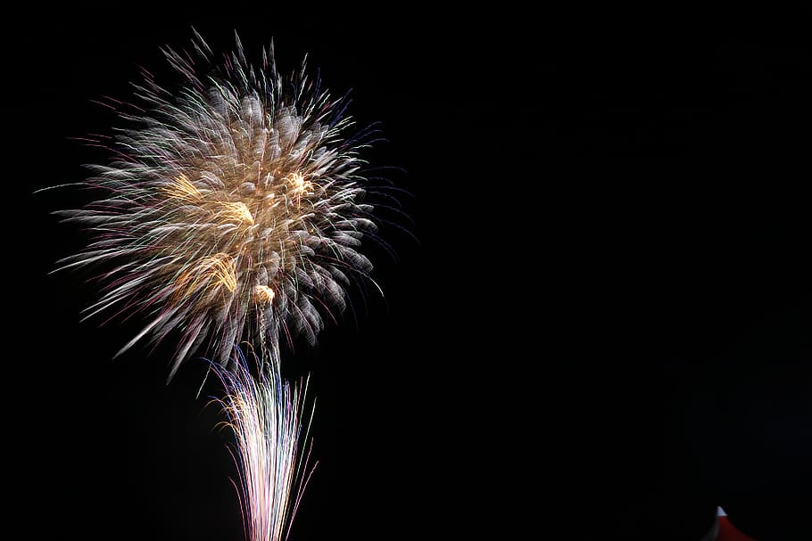 fireworks, celebration, illuminated, event, motion, night, firework display HD wallpaper
