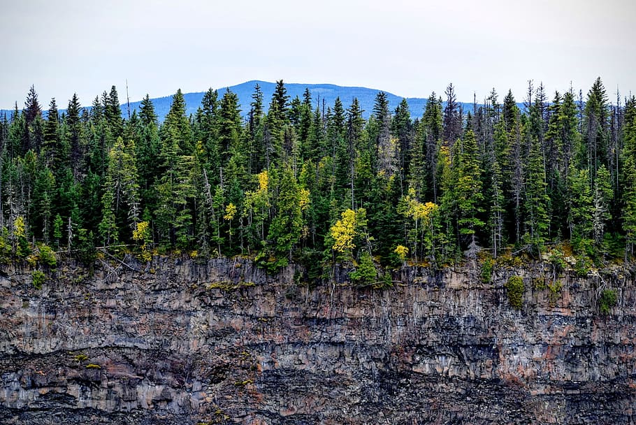 rocky mountain with trees under white sky, cliff, forest, wood HD wallpaper
