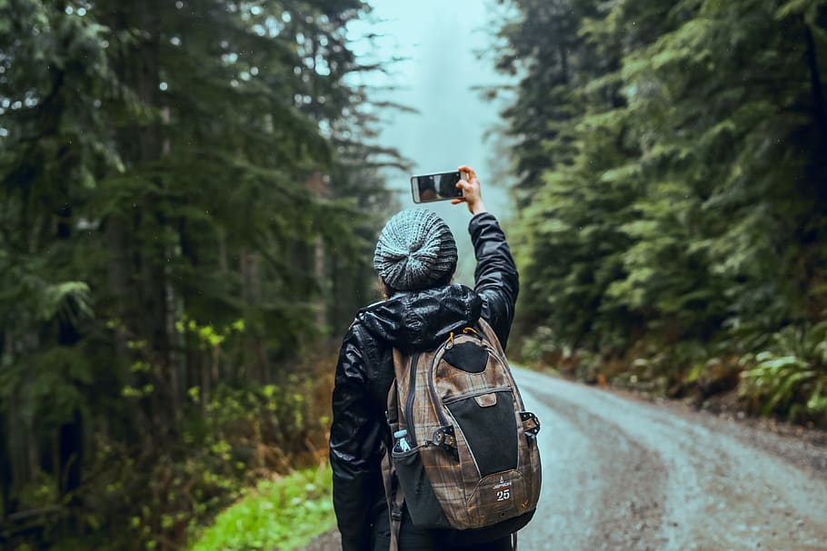 Person Taking Photo Of Pine Trees, adventure, backpack, daylight HD wallpaper