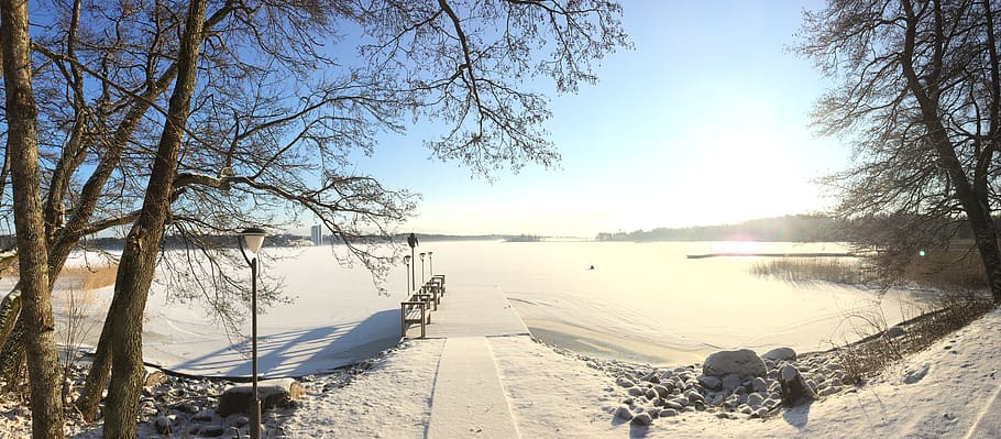finland, sundsberg, lake, fresh snow, trees, uusimaa, ice, winter