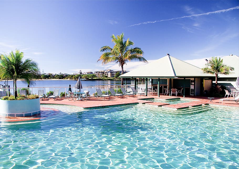 australia, twin waters, lake, blue, palm, palms, palm tree, HD wallpaper