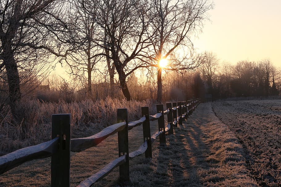 landscape, snow, winter, trees, snowy, sky, sunset, bare tree HD wallpaper