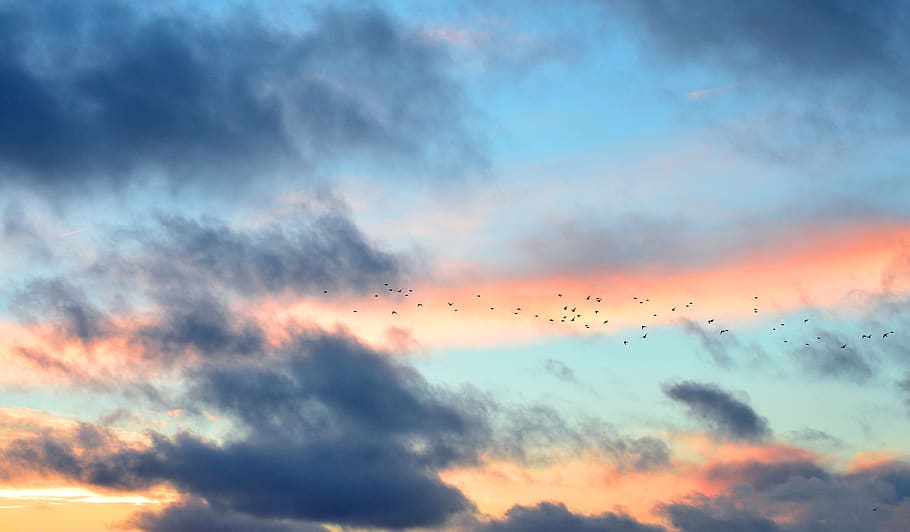 iceland, birds, sunset, clouds, sky, nature, earth, dom, cloud - sky HD wallpaper