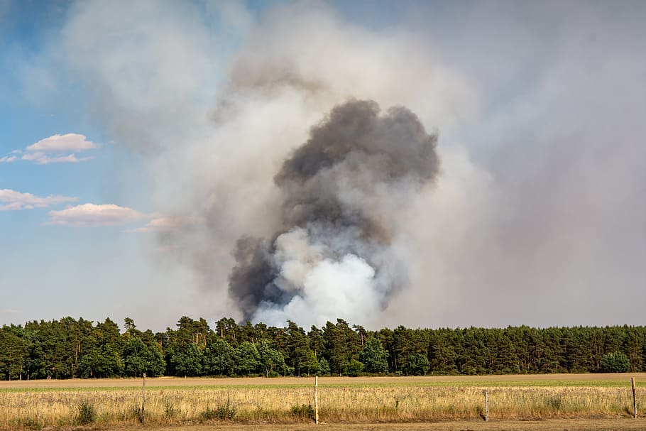 brand, forest fire, risk, forest fire danger, smoke, heat, dry HD wallpaper