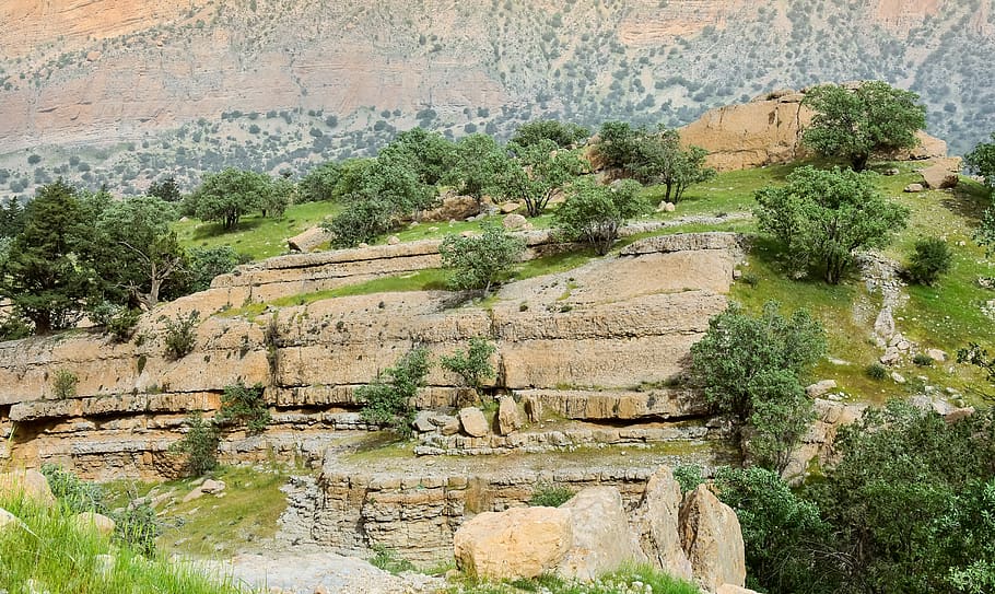 iran, tang-e sulak, tree, trees, forest, mountain, jungle, rock HD wallpaper