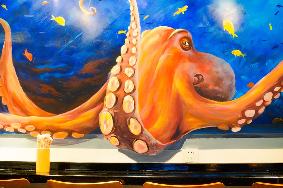 china, changsha, the restaurant, the octopus, color, animal