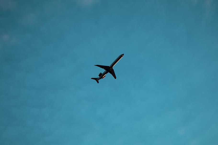 airliner on air during daytime, flying, low angle view, sky, bird HD wallpaper
