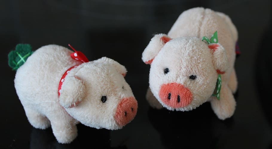 pig, little, stuffed, object, fig, figure, soft, toy, stuffed toy, HD wallpaper