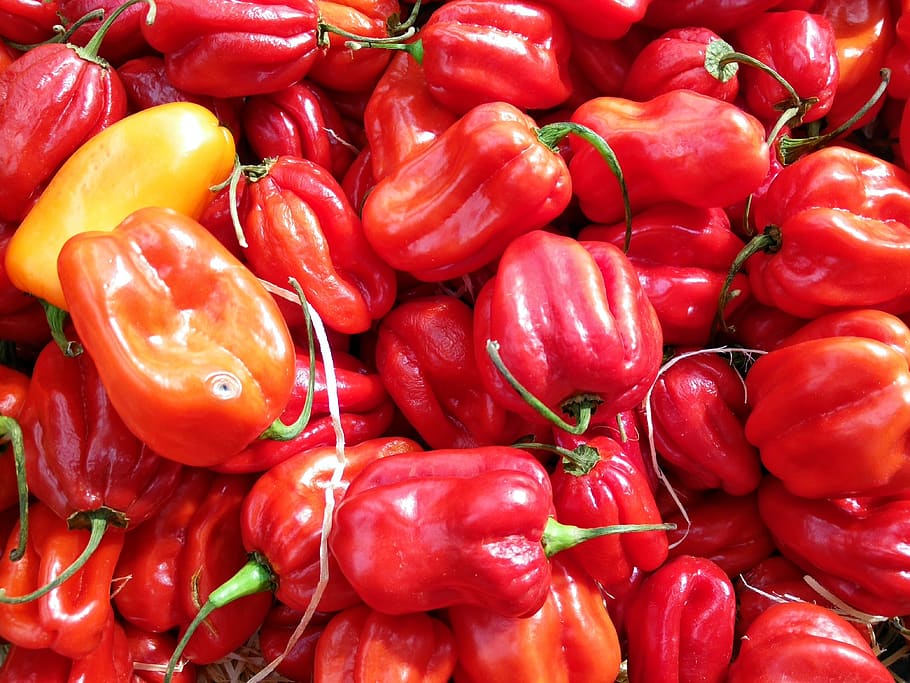 food, nature, red, food and drink, full frame, vegetable, large group of objects HD wallpaper