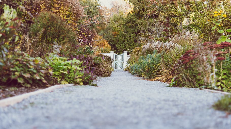 botanical garden, fall, forest, gate, grass, gravel walkway, HD wallpaper