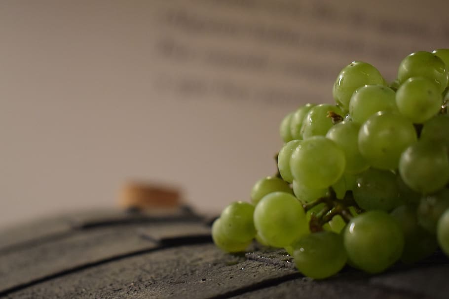 grapes, vine, wine, vineyard, food, harvest, agriculture, grow up HD wallpaper