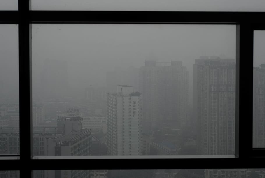 grayscale photo of mindows, window, city, glass - material, transparent HD wallpaper