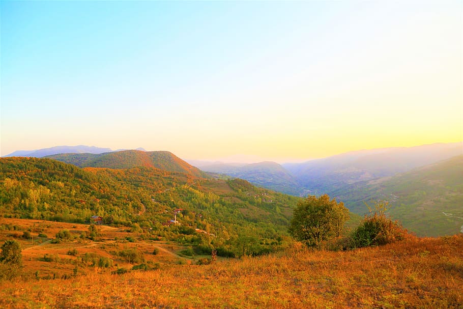 landscape, rural, forest, nature, sunset, trees, beautiful HD wallpaper