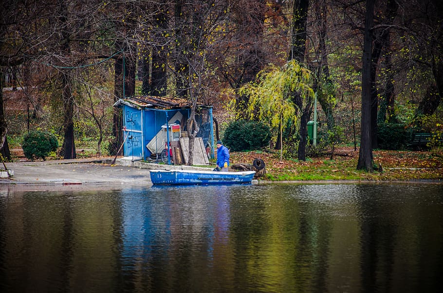 lake, forest, tree, park, people, nautical vessel, water, plant HD wallpaper