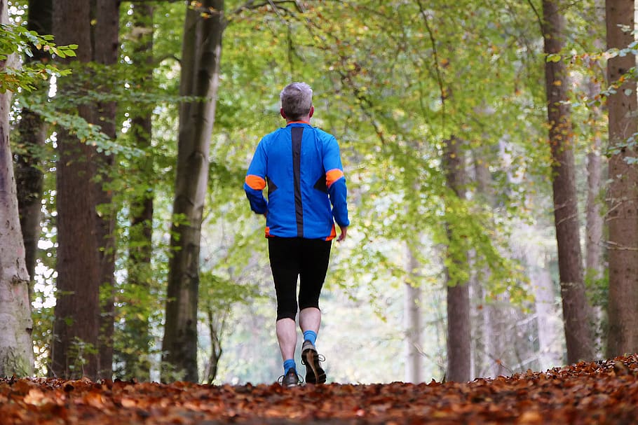 forest, nature, sport, jogger, trees, leaves, senior, health HD wallpaper