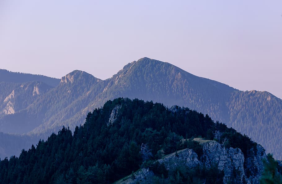 mountain, nature, forest, landscape, tree, scenics, outdoors HD wallpaper