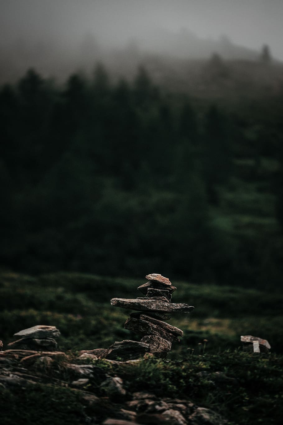 stone pile during daytime, tree, plant, land, nature, tranquility HD wallpaper