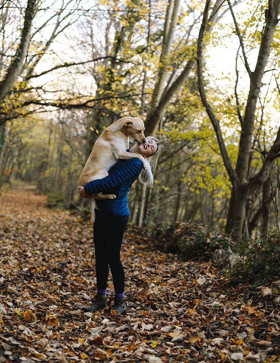 Woman Carrying Dog While Standing in the Middle of the Forest, HD wallpaper