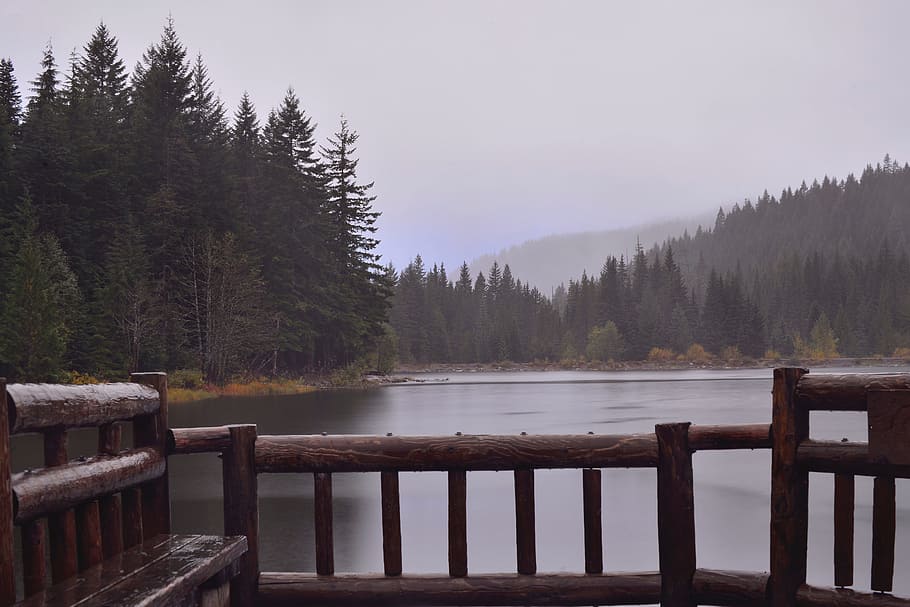 tree, water, nature, forest, outdoor, wilderness, mountain HD wallpaper