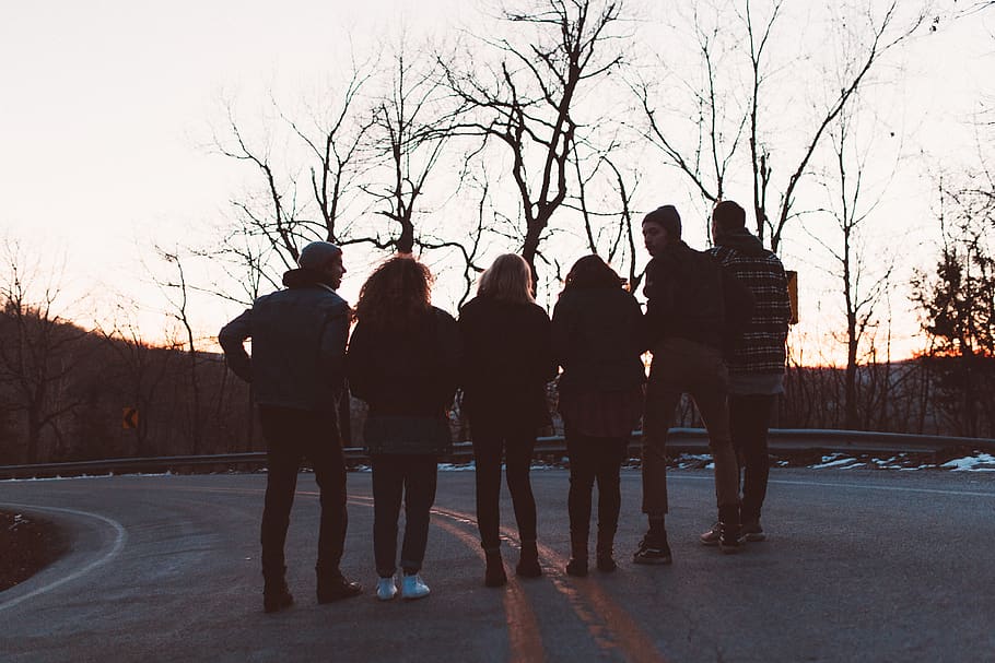 group of people, real people, full length, bare tree, rear view HD wallpaper