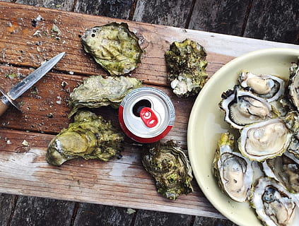 Oysters, can, fresh, ingredient, ingredients, knife, sea, seafood HD wallpaper