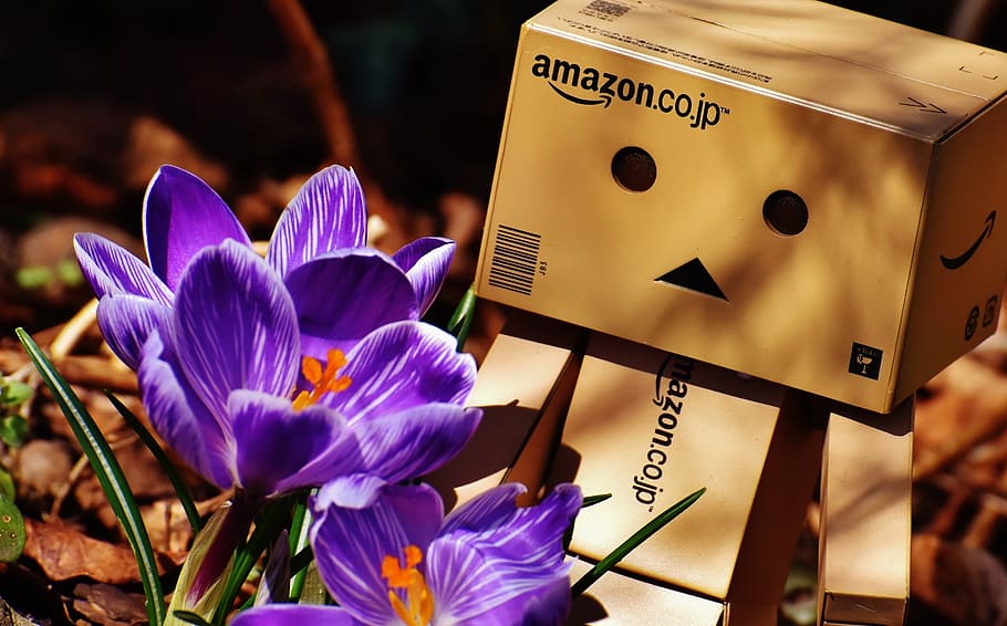 figure, spring greetings, danbo, blossom, bloom, flower, plant HD wallpaper