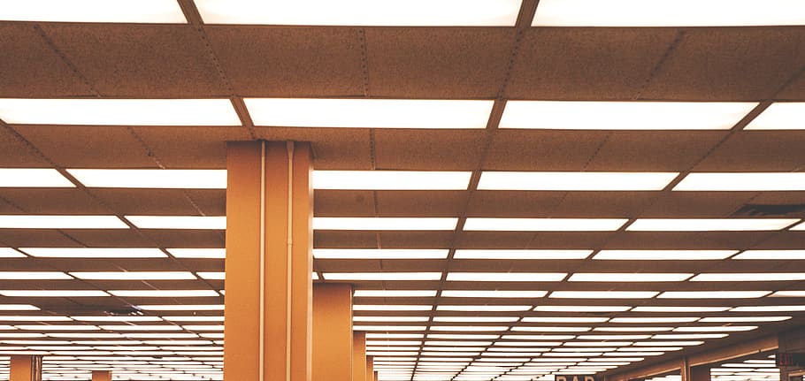 library, libraryceiling, lights, inside, campuslibrary, architecture HD wallpaper