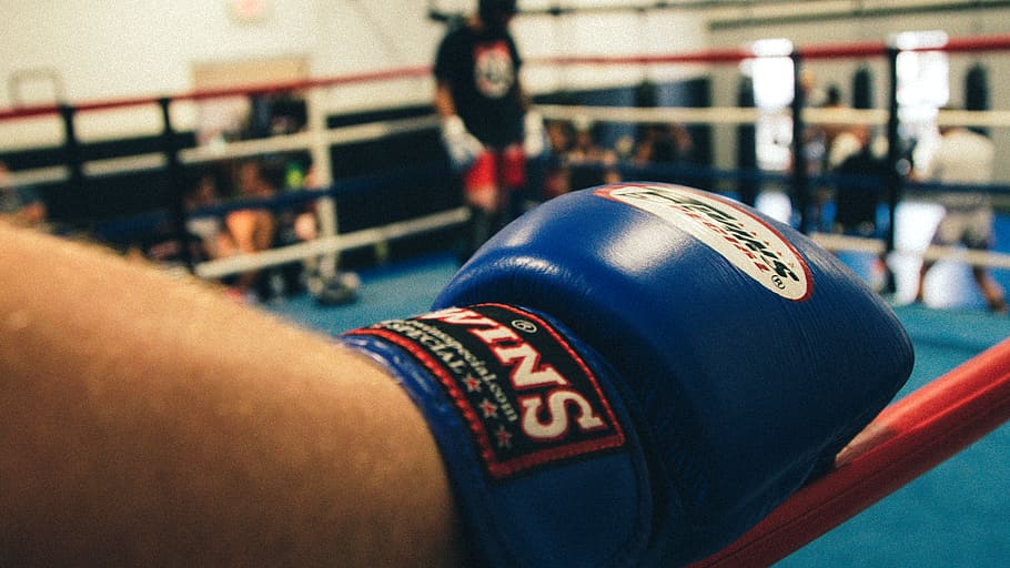 boxing, fight, glove, muay thai, match, ring, sport, close-up