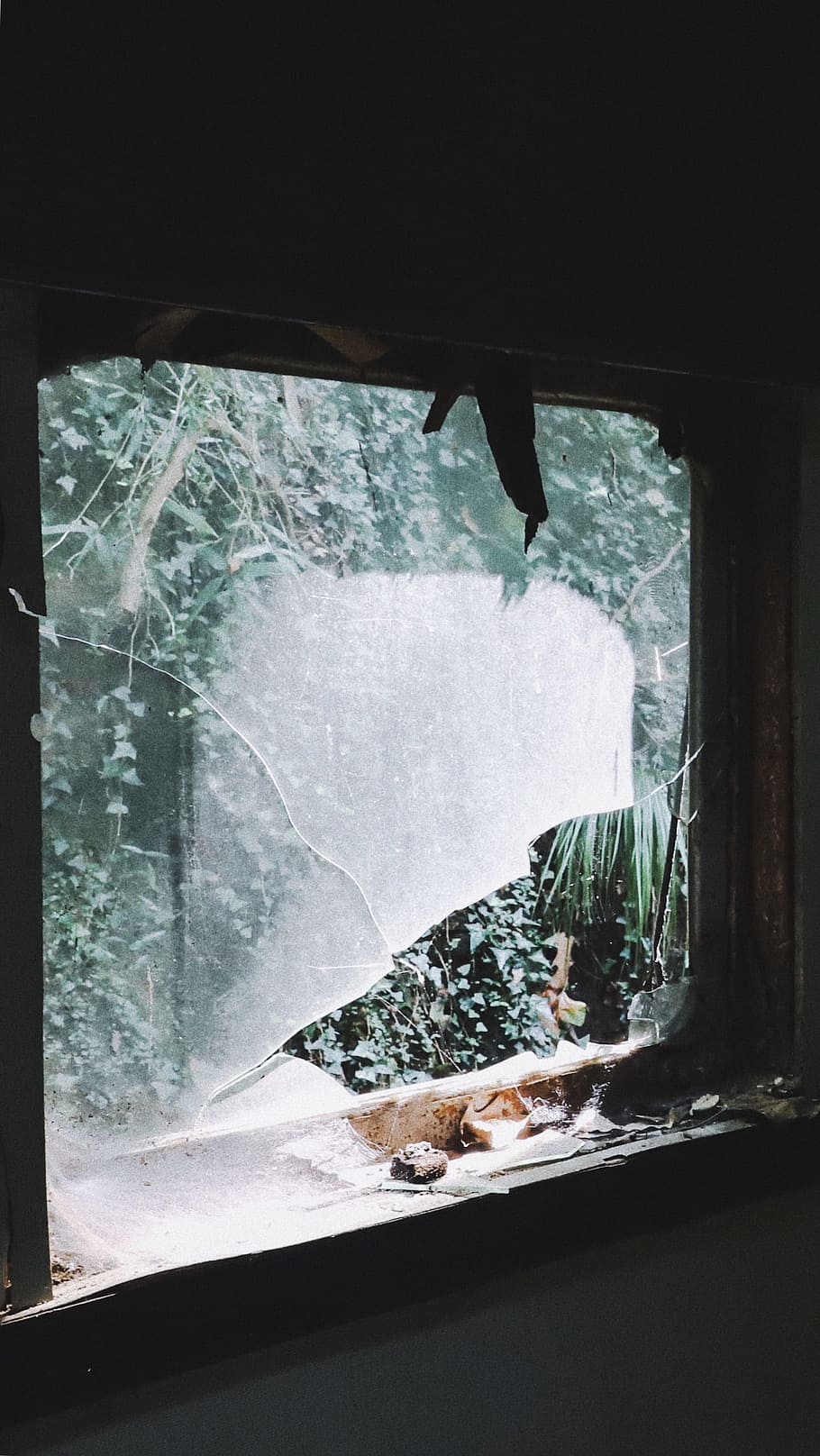 square gray metal framed broken glass window, ivy, dark, shatter HD wallpaper