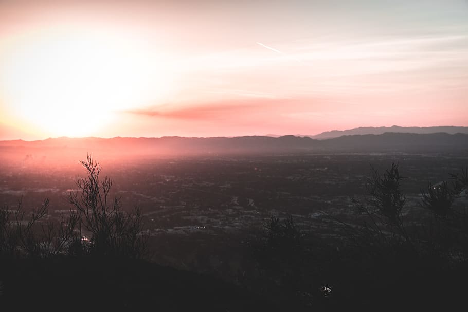 los angeles, united states, wisdom tree, downtown, la, sunrise, HD wallpaper