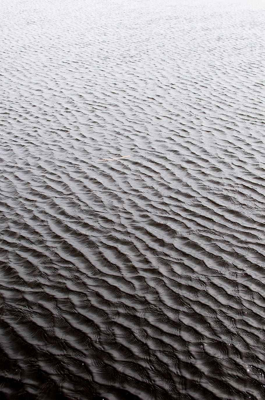 water, ripples, simple, lake, travel, explore, texture, full frame HD wallpaper