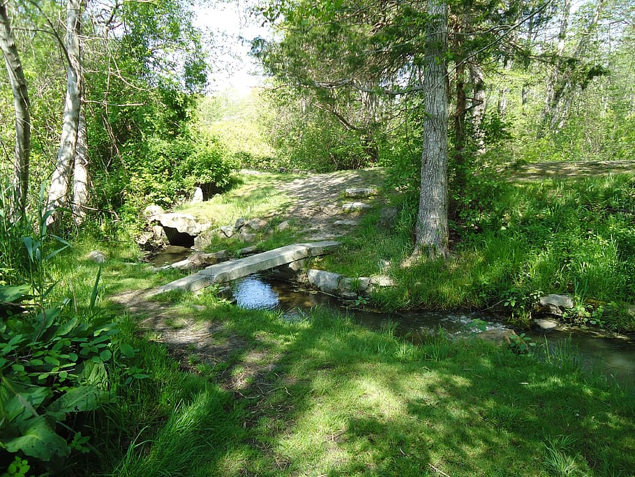 footbridge, stream, brook, creek, river, grass, trees, green HD wallpaper