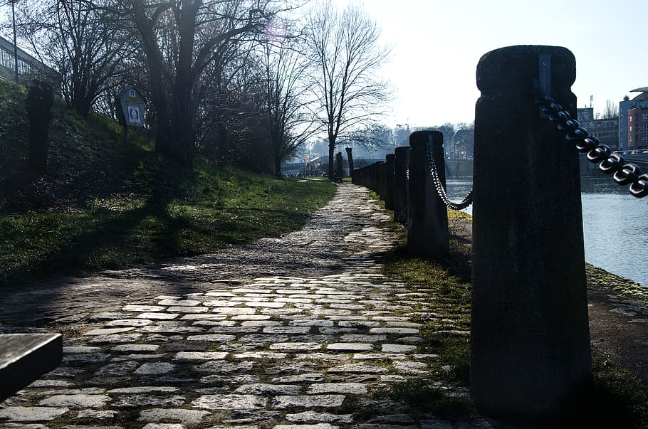 stuttgart, shore, neckar, track, dark, stones, tree, plant HD wallpaper
