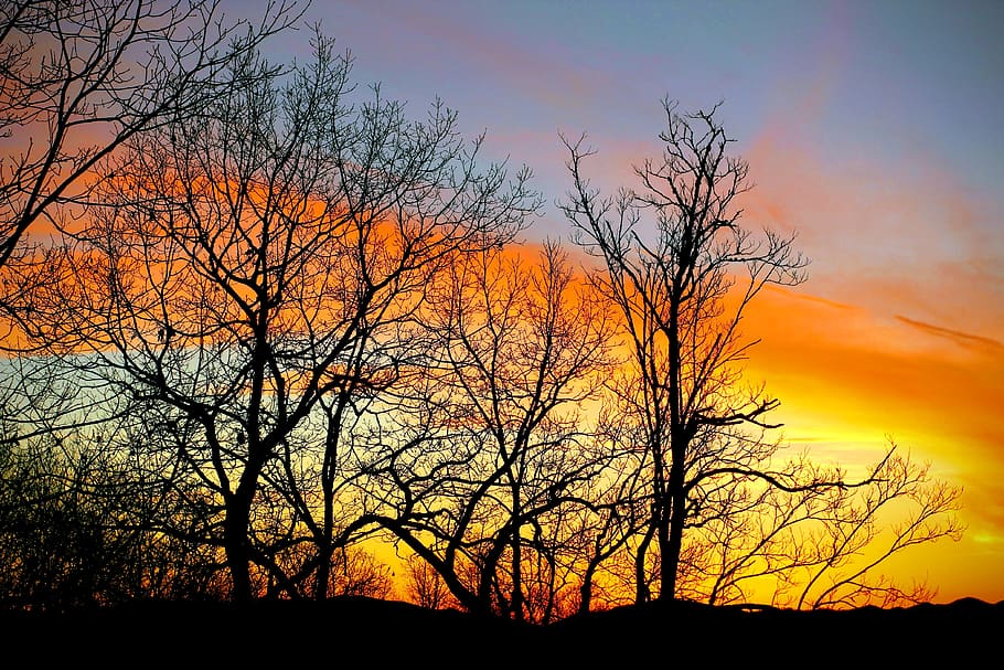 dusk, sunset, mountains, trees at sunset, winter sunset, orange color HD wallpaper