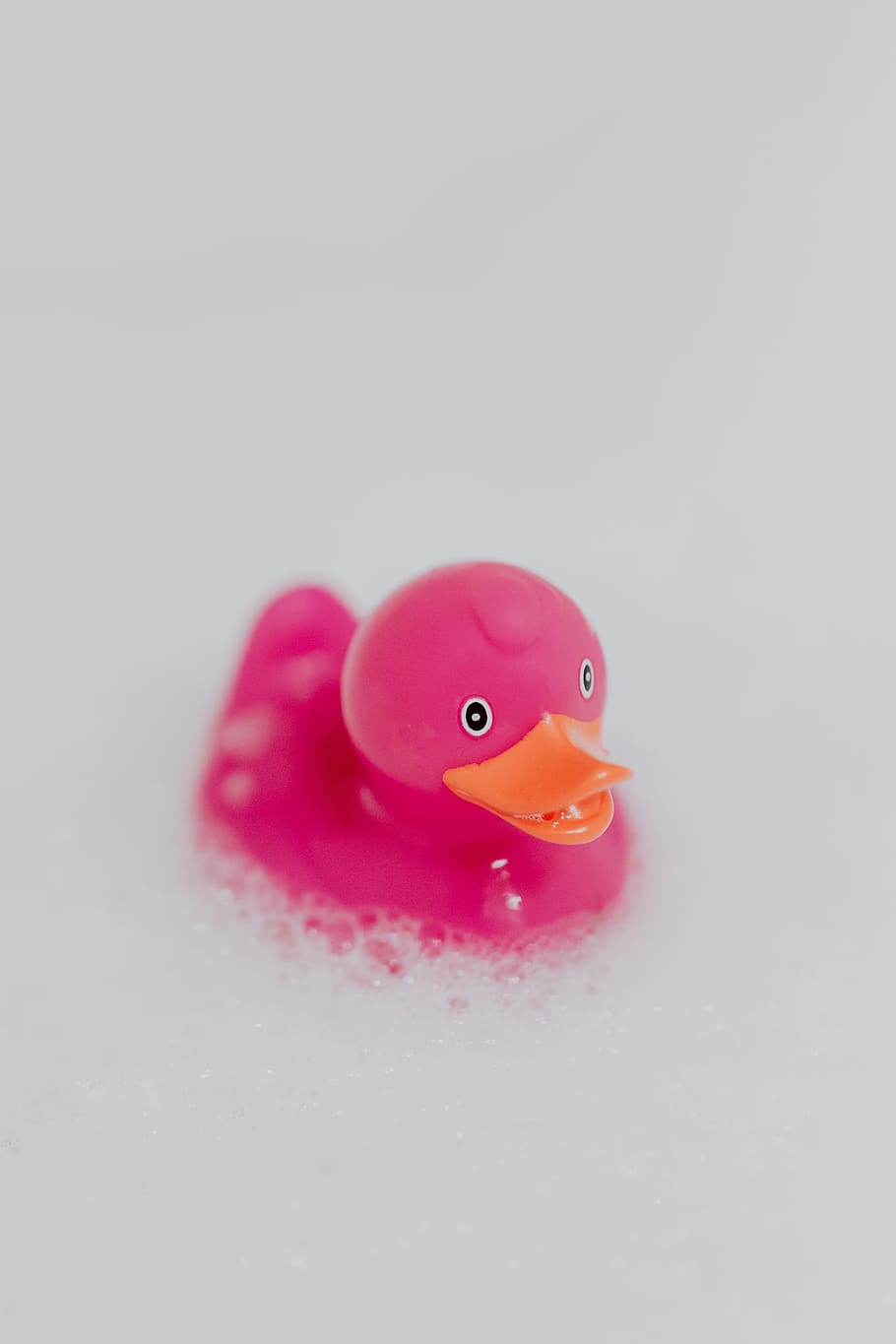Pink rubber ducky in foam, pink duck, soap bubbles, toy, rubber toy