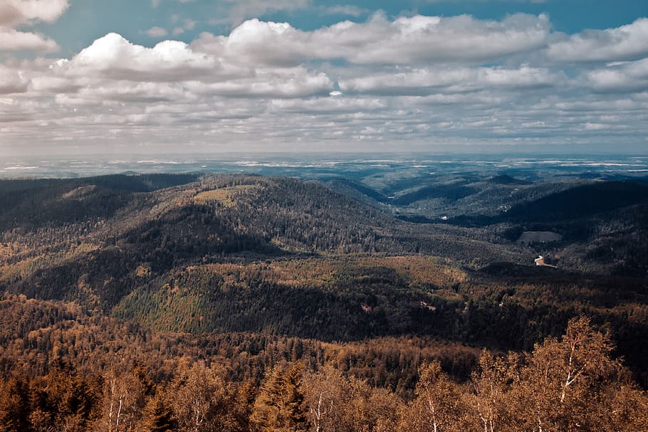 landscape, nature, forest, alsace, france, sky, valley, hill HD wallpaper