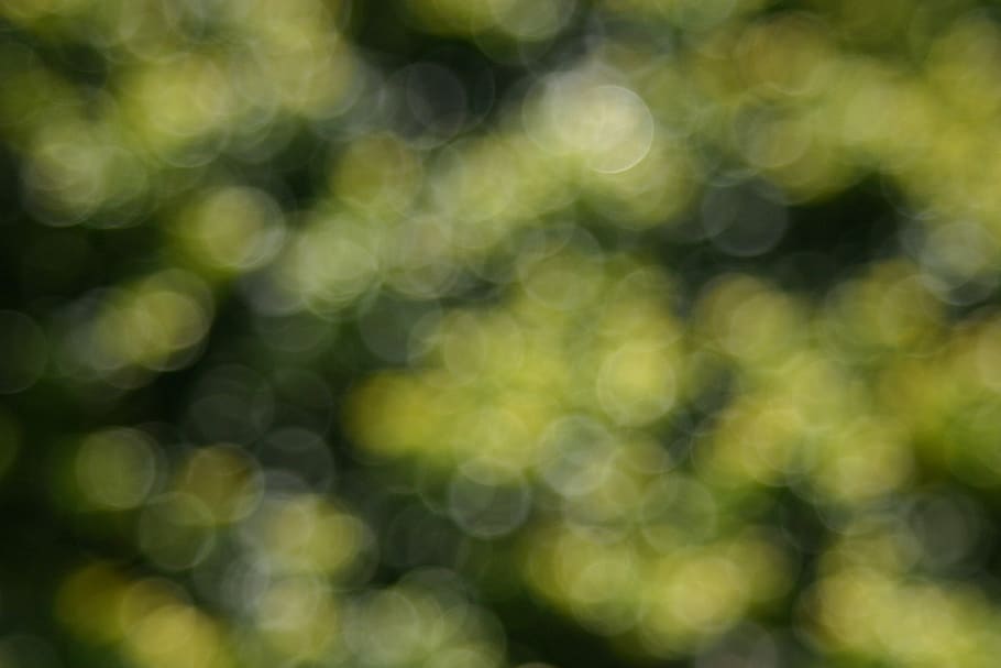 bokeh, green, trees, nature, blurred, defocus, circles, defocused HD wallpaper