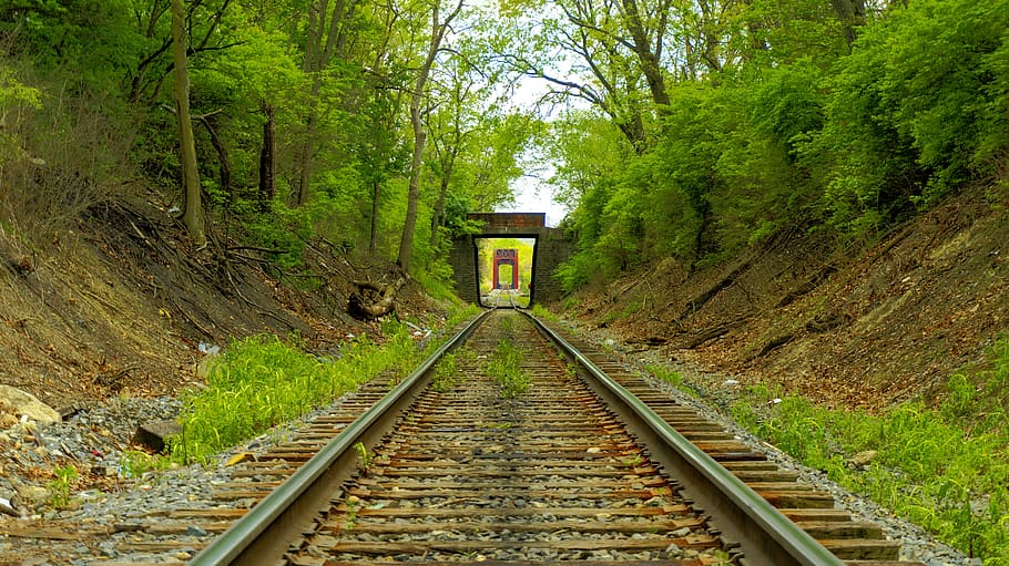 tack, red, green, track, train track, tree, plant, the way forward HD wallpaper
