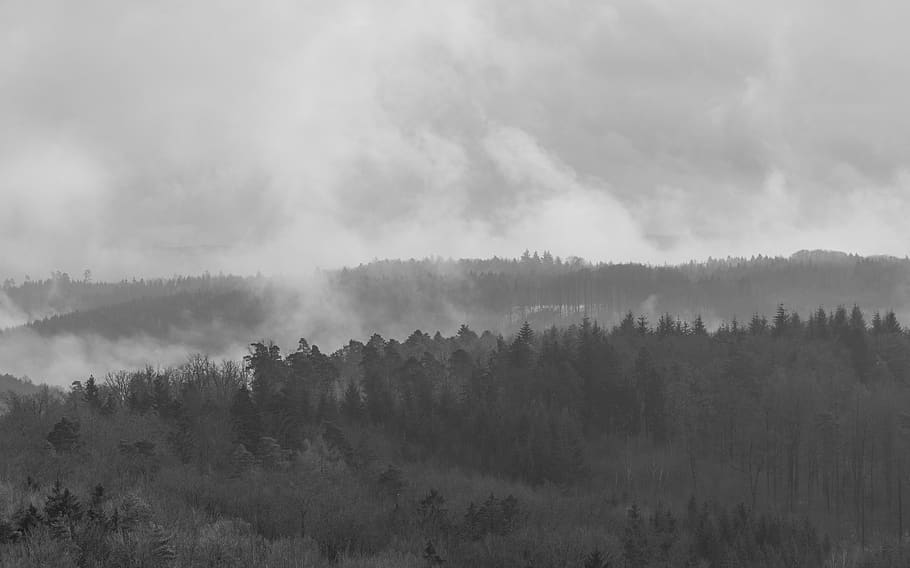 mood, cloudy, nature, sky, landscape, panorama, mystical, blackandwhite HD wallpaper