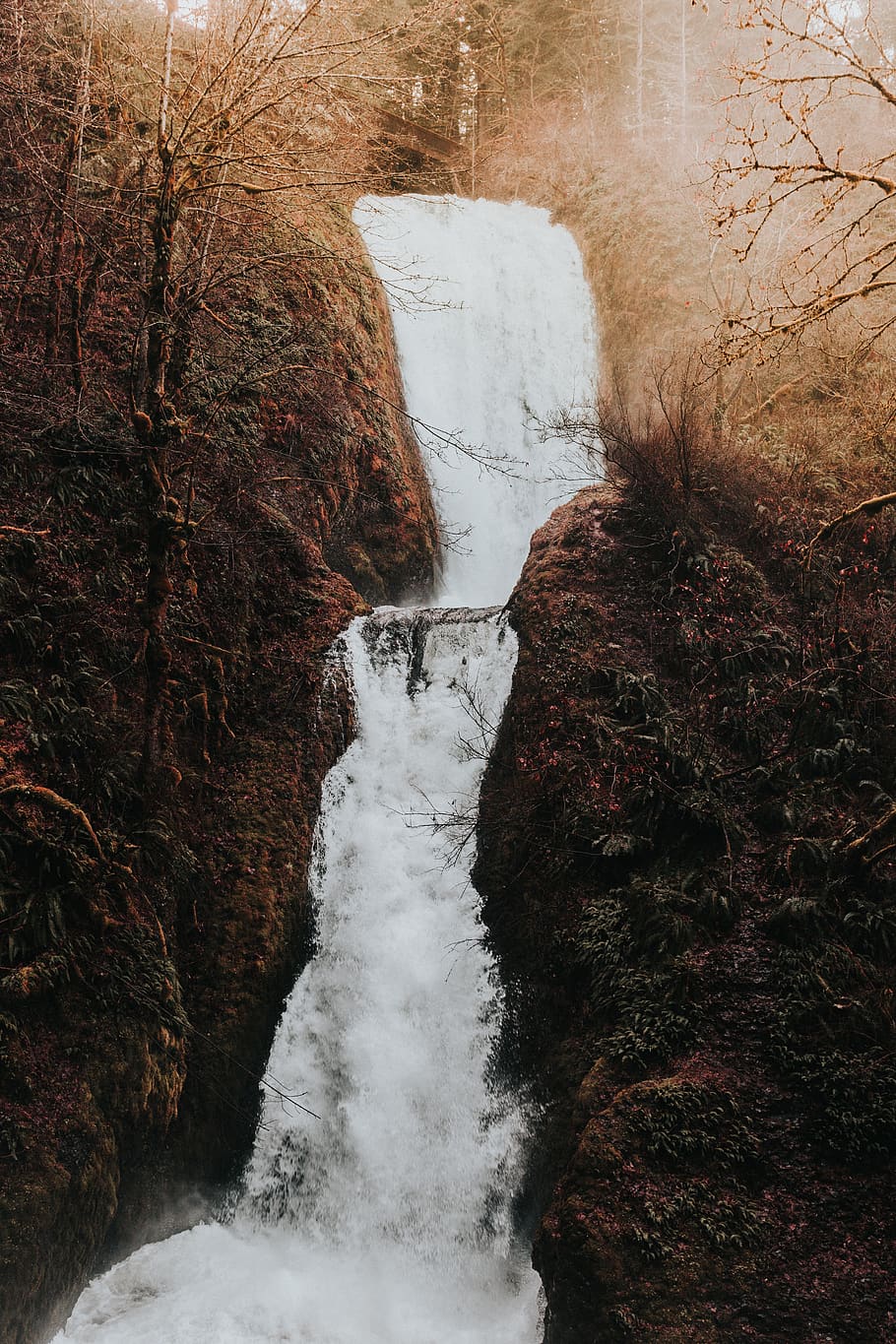 tree covered waterfall at daytime, nature, river, outdoors, usa HD wallpaper