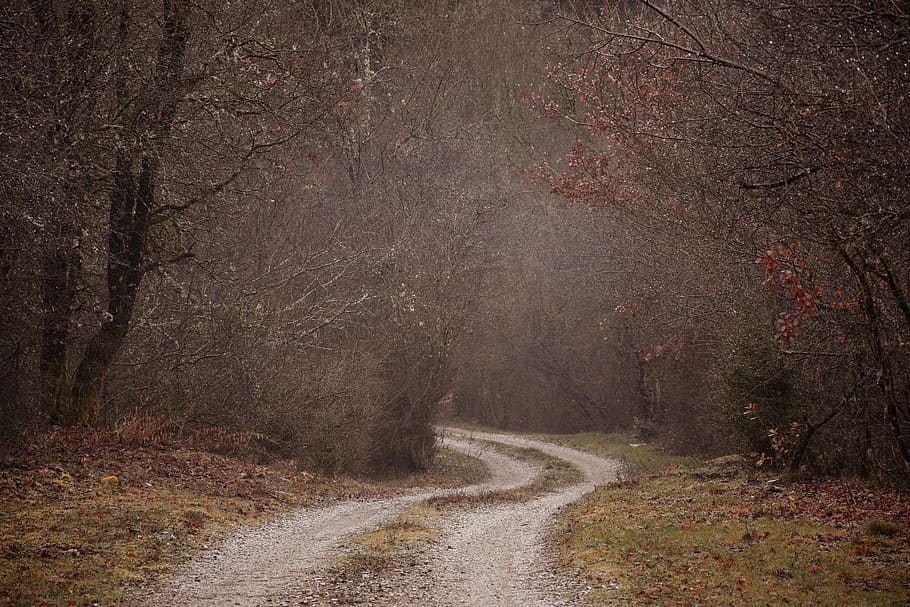 Hd Wallpaper Foggy Misty Spooky Mysterious Old Road Timeworn