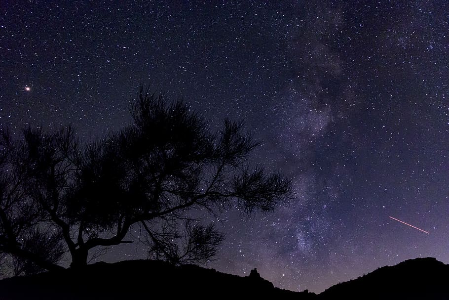 Silhouette of Trees during Night, astronomy, dark, galaxy, landscape HD wallpaper